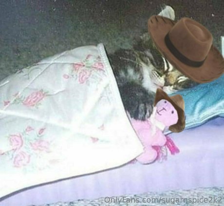 smoll n sweet 2k2 porn star photo