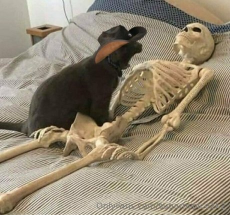 smoll n sweet 2k2 hot actress pictures