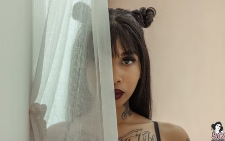 Myllaka SG model perfect galleries