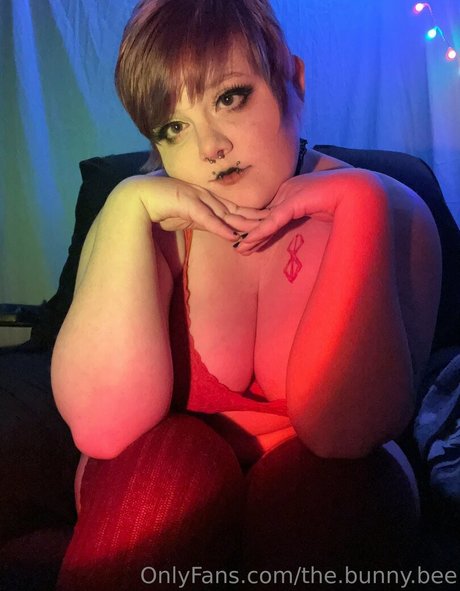 The bunny bee beautiful pornstar photo