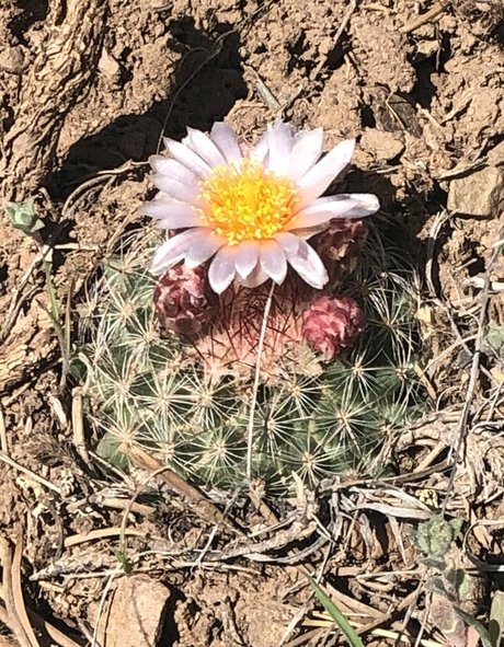 naomiwildman3 beautiful star photo