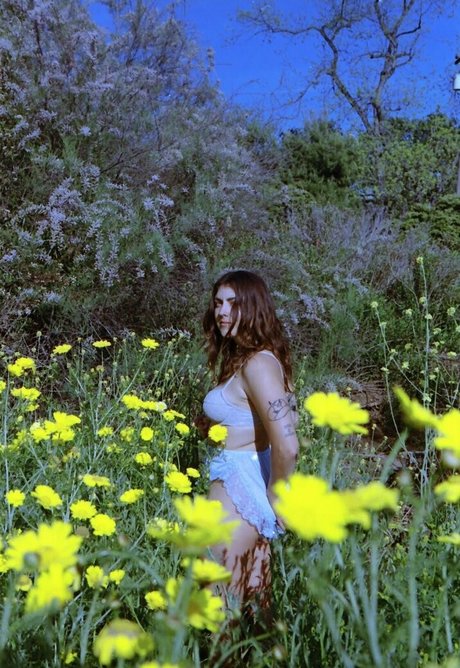 sierrakay hot pornstar gallery