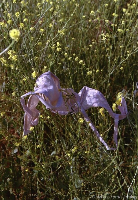 sierrakay naked model images