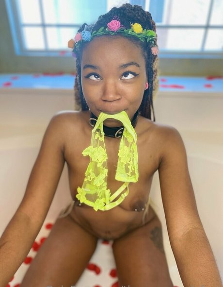 thenovapandafree erotic star galleries