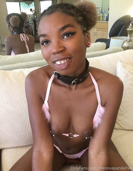 thenovapandafree high quality model pics