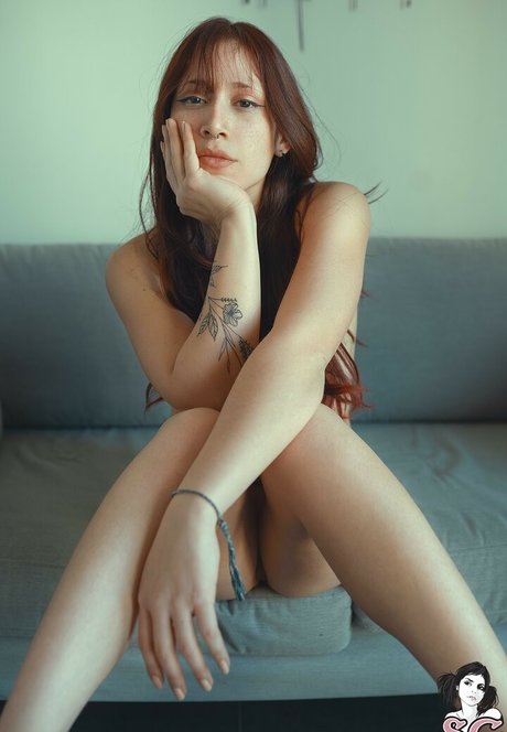 Kamikasered free star images