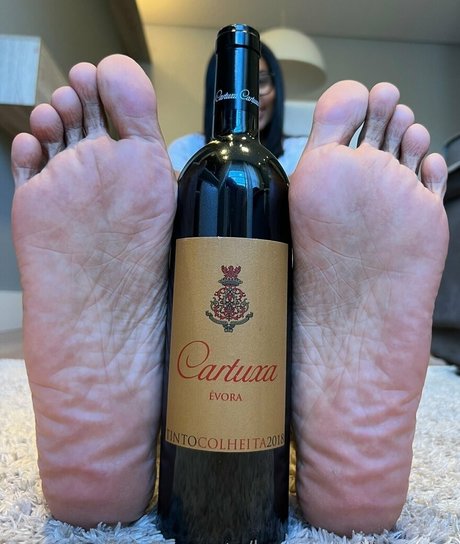 lauraazevedoqueen pornstar top galleries