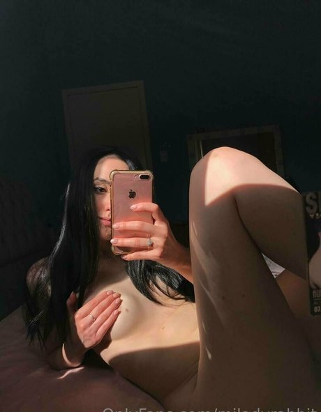 miladyrabbit star high quality pic