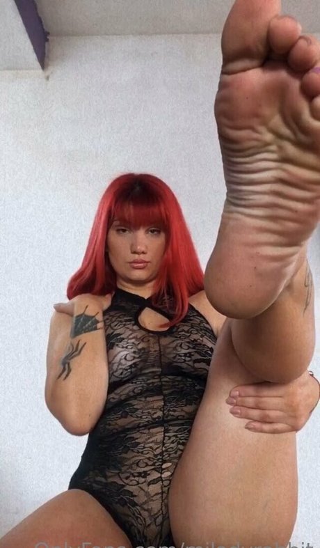 miladyrabbit pornstar sex pictures