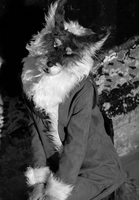 ryo kizuchi sexy star gallery