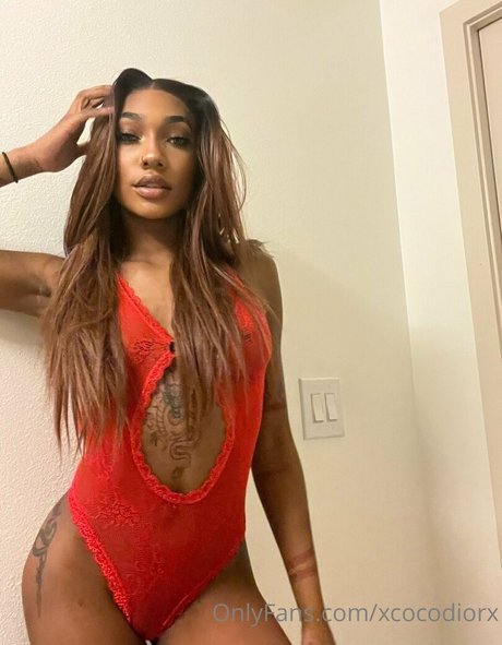 xcocodiorx nice pornstar galleries