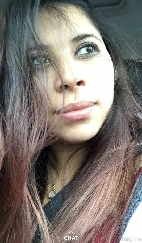 devilishdaisy star beautiful picture