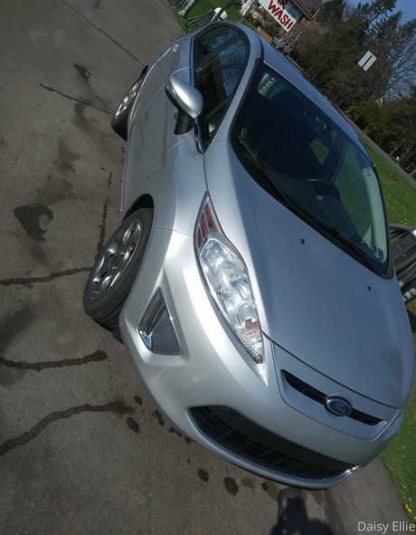 devilishdaisy art pornstar galleries