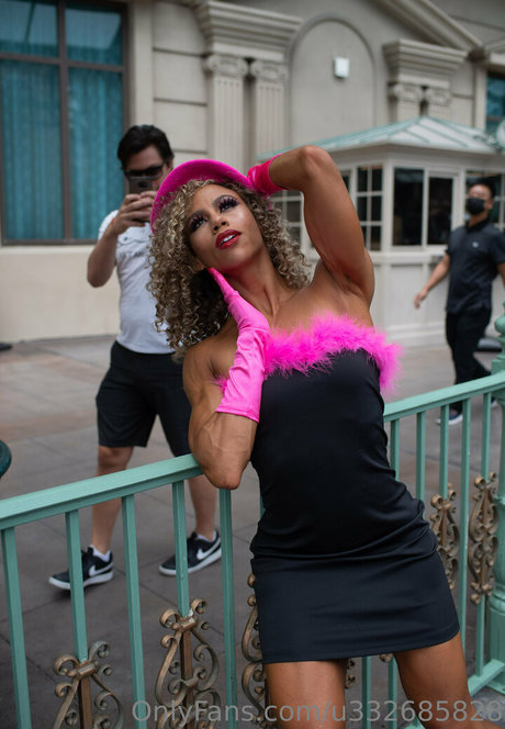 aftannoondelight model archive