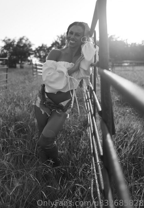 aftannoondelight star images