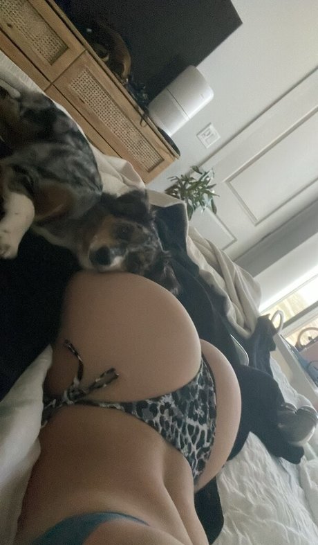 Abbagail Seidl top pornstar archive