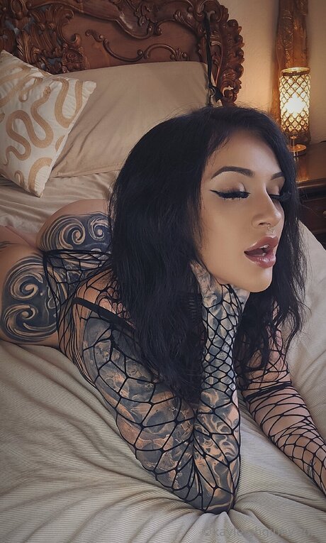 kayleighgibby nice pornstar image