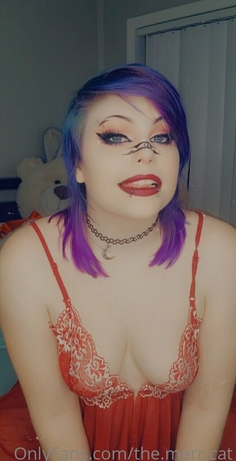 the merr cat star xxx galleries