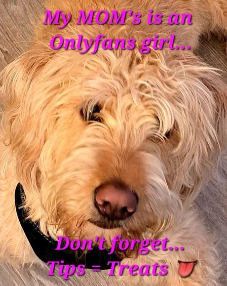 fingering pussy onlyfans pornographic picture