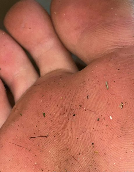 gigagod69 high quality actress images