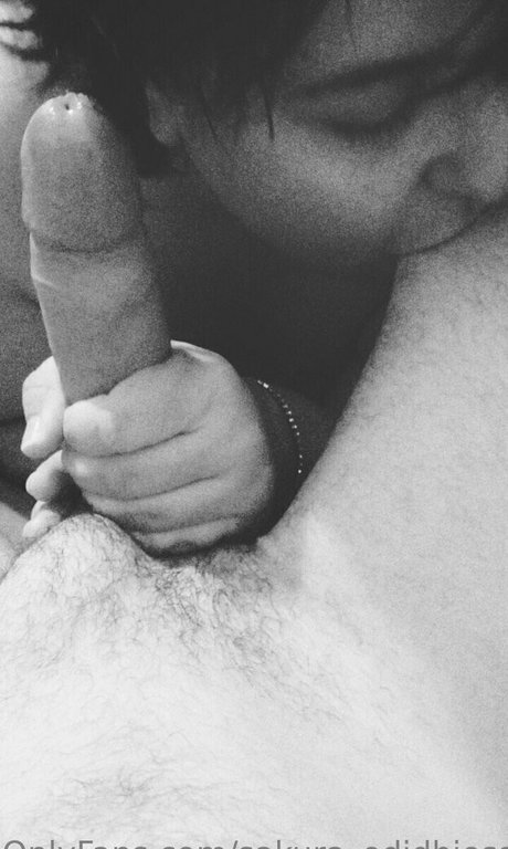 sakura odiosa star perfect picture