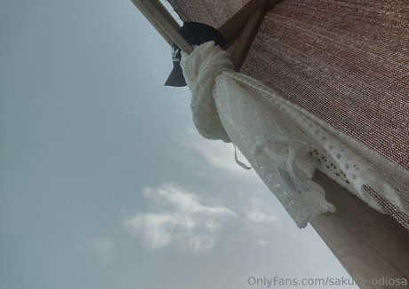 sakura odiosa adult model images