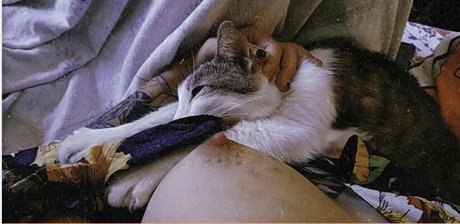 ssbbw granny onlyfans beautiful image