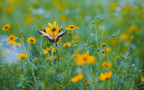 spikezombie best pornstar image