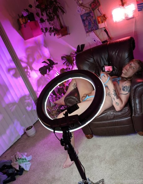 brainwashedpet star nude gallery