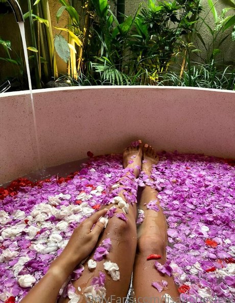 lisahoneyfeet nudes star gallery