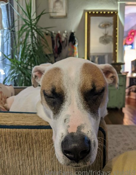 fridays child69 pornographic star images