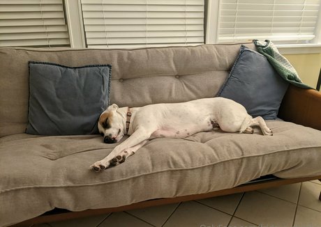 fridays child69 porn star images