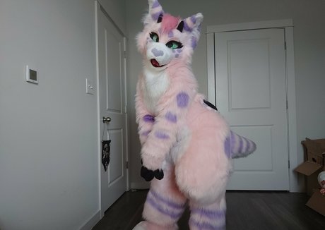 seduction onlyfans hot photo