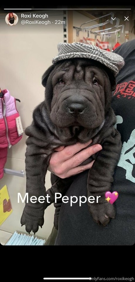 roxikeogh hd model img