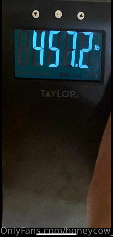 honeycow 17 star beautiful archive