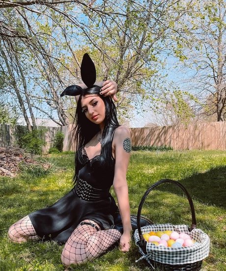 Alison Rainer star art pic