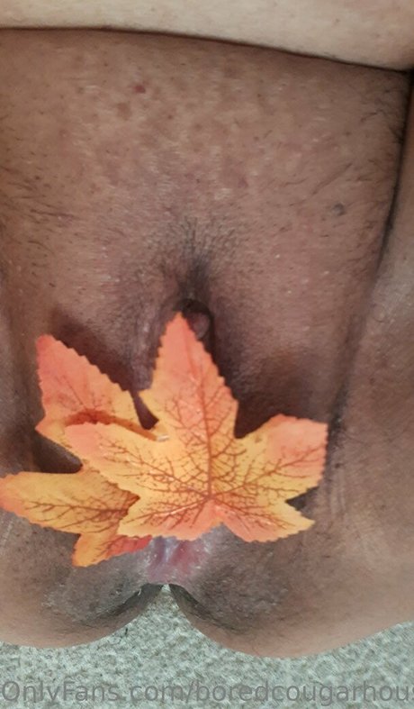 boredcougarhousewife beautiful star photos