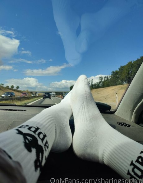 sharingsophia exclusive pornstar images