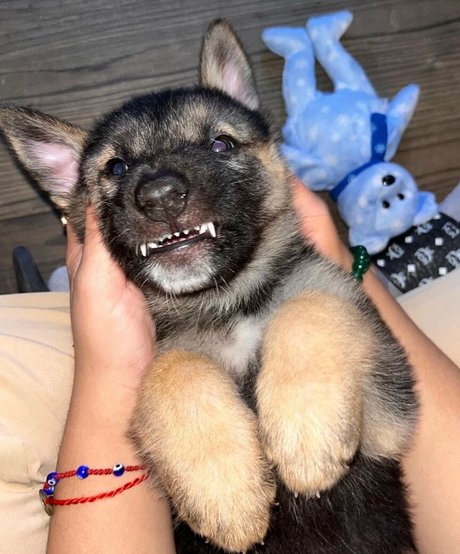 lillatinabaddie sexy model picture