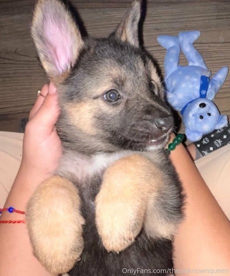 lillatinabaddie pornstar beautiful archive