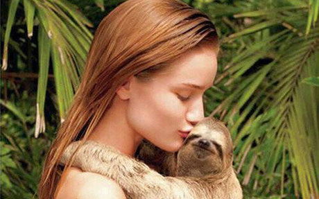 Rosie HW_ star perfect img