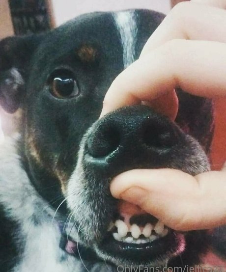 thick latina milf onlyfans free xxx photos