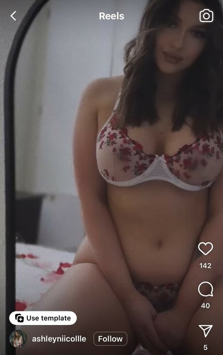 Ashley Delfino Nikkiashh nude pornstar archive