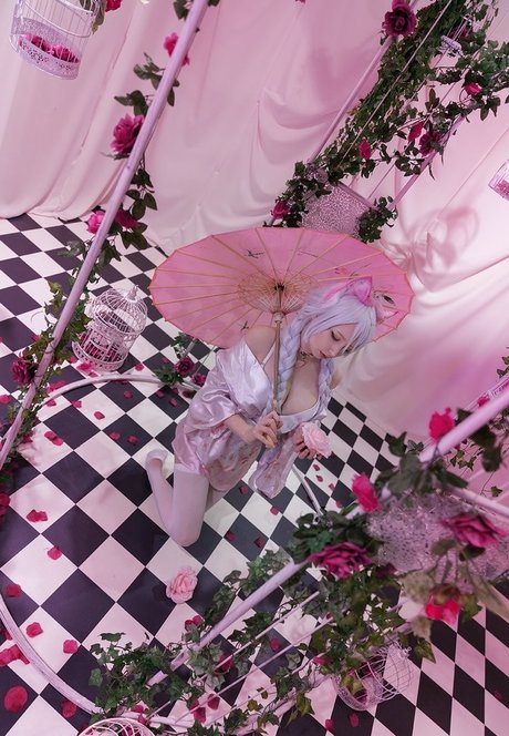 bibichan perfect star picture