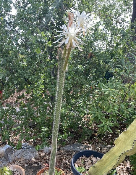 big ass asian onlyfans exclusive archive