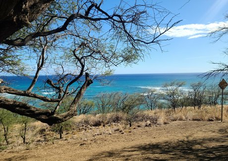 nude asian onlyfans hot xxx pic