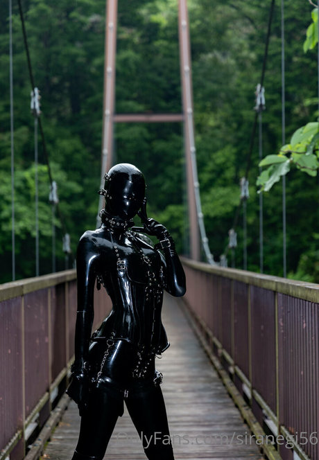 siranegi56 pornographic star gallery