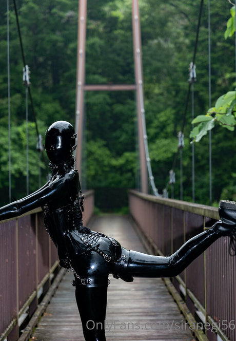 siranegi56 star beautiful pic