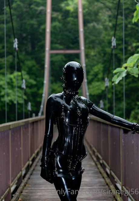 siranegi56 star adult gallery