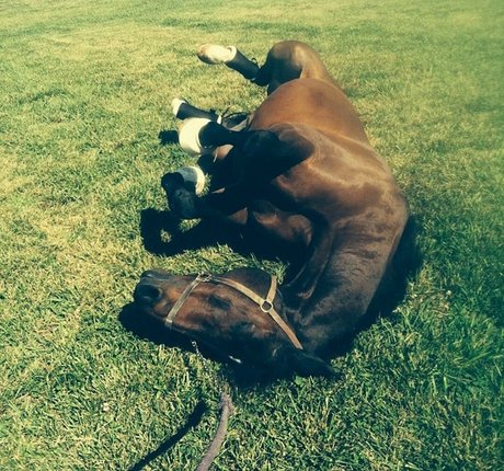 female influencer onlyfans exclusive pic